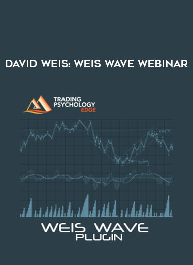 David Weis : Weis Wave Webinar digital download