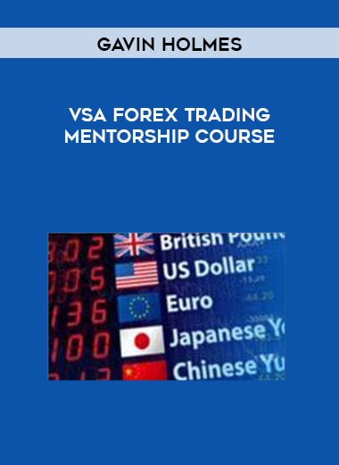 Gavin Holmes - VSA Forex Trading Mentorship Course digital download