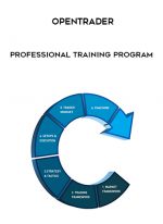 OpenTrader – Professional Training Program digital download