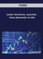 FOREX : Learn Technical Analysis : From Beginner To Pro digital download